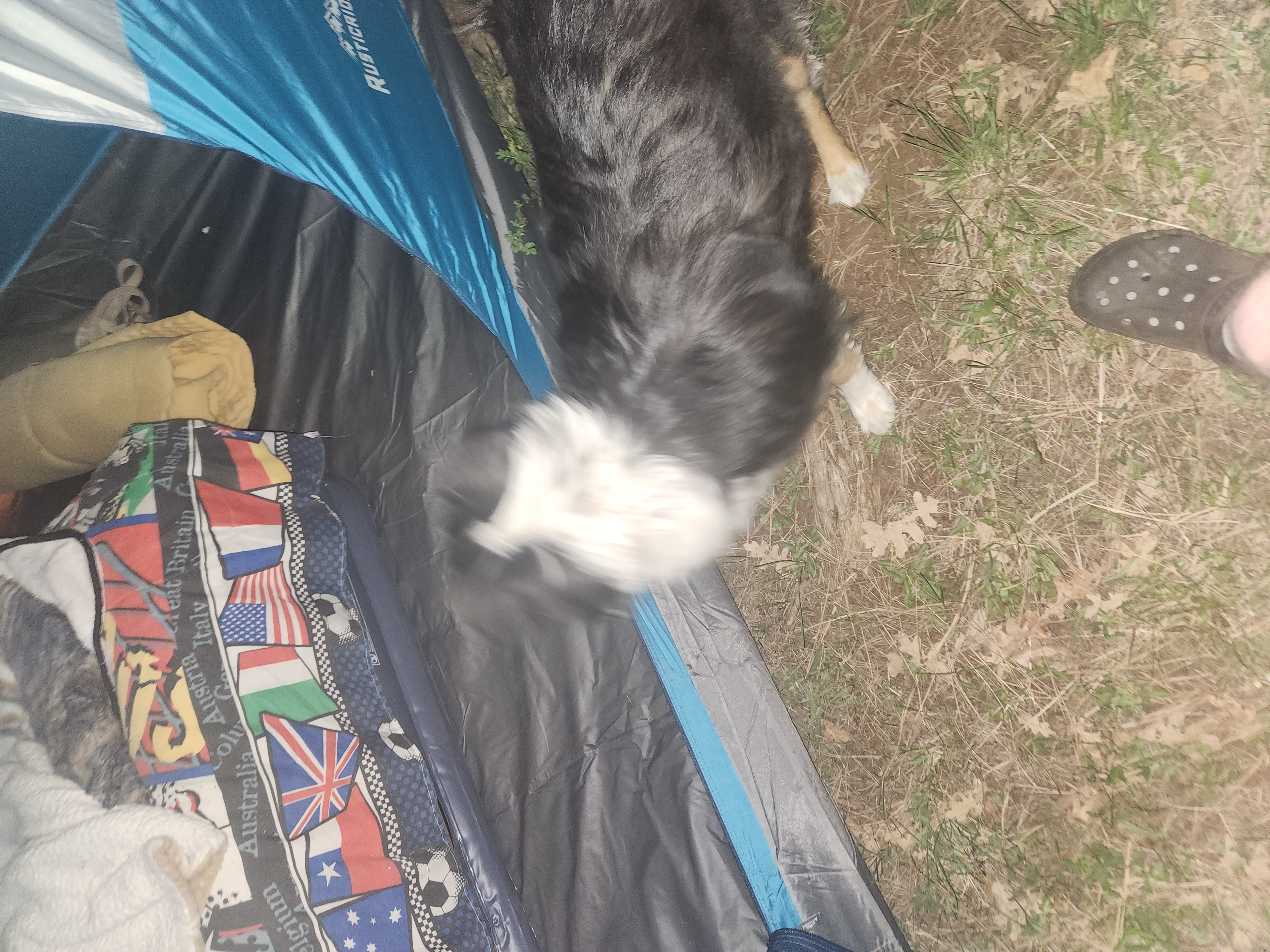 camping hazel